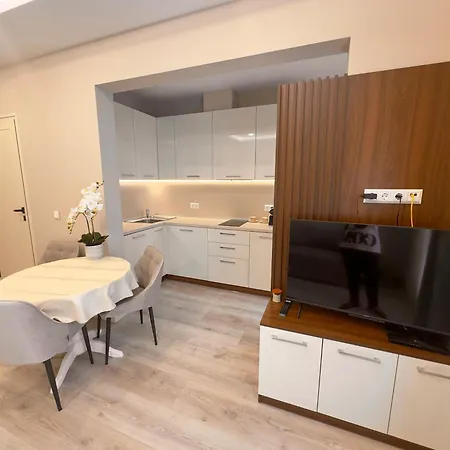Luxury 1 Apartment *